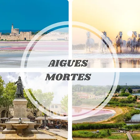22-clim-wifi-terrasse-plage La Grande-Motte